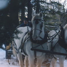 Hugh with sleigh