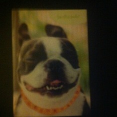 Thank you card from Ozzie to his sister Patty for donating Bone Marrow and Kidney.