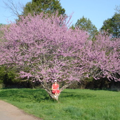 Enjoying the blossums at the Virginia State Arboretum in the Spring of 2008
