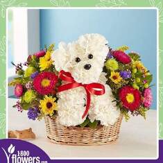 A teddy bear and flowers for Ione