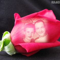 mom and dad redrose