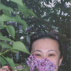 Irene loving lilac, Brooklyn Botanic Garden