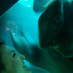 Kiss of a Sea Lion