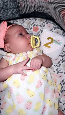 Ivy Rose Porter