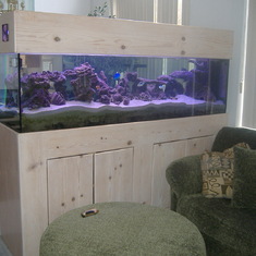 This aquarium led to a school field trip with Jim's 3rd grade class
