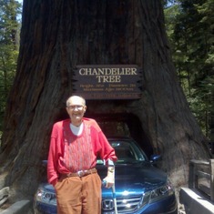 Jack at the Chandelier Tree