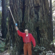 Jack with redwood