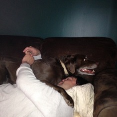 Chinook's a big lap dog!