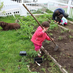 The girls loved helping daddy with the garden.