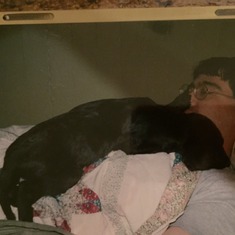 Love. Chinook was always a lap dog!