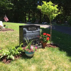 We planted some of Great-Grandpa Basta's hostas with daddy.