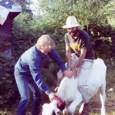 Jimmy "bull riding" with the help of Frank Samuelson