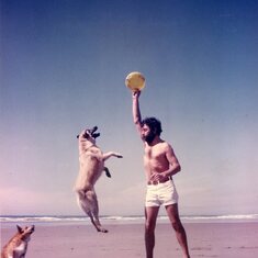 Jimmy playing on the beach with Vera's dog and his dog