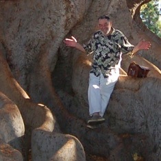 jimmy in the fig tree 10-2014 Santa Barbara CA