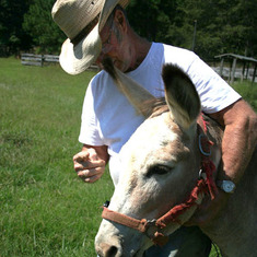 Dad and his pet donkey