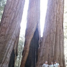 Sequoia National Park James Steph and Brian