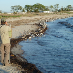 James photographing his beloved Red Knots, Cape May, New Jersey, May 2014