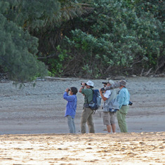 James and Kay sharing the sand and birds with Bob and Susan Steele and Tom Heindel at Cow Bay in the Daintree 7 July 2007