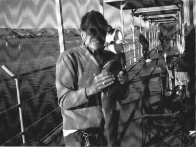 James Terenti