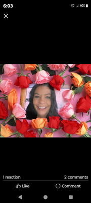 Jamie lynn pillion