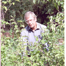 Cutting bushes 2003