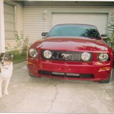 2 of her favorite things, fast cars and awesome dogs. (Levi)