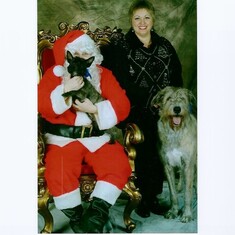 Santa and Dogs