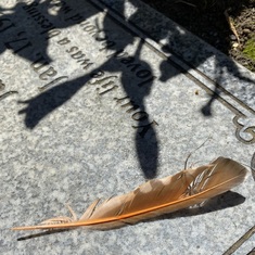 An orange feather -signifies healing, letting go of anger and pain