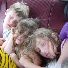 Kids sleeping in car after camping trip - AC broke, it was super hot, and our collie Lucy was sleeping on them.