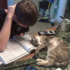 Jared studying for ACTs while Beast is relaxing on his book.