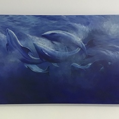 Dolphins - a gift from Jay 