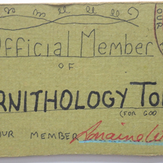 The tongue-in-cheek club card Jay made 1981
