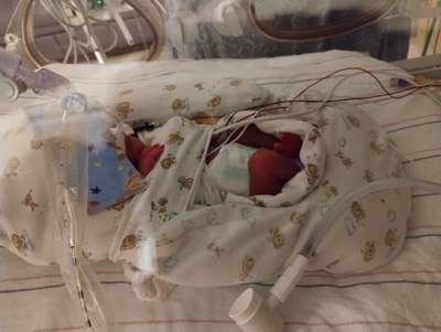 Jayden Tonio Wells