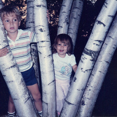 Mom's favorite tree- the clump birch at Redwood