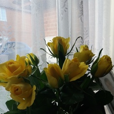 Your favourite yellow roses 