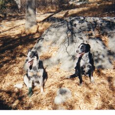 Sweetie and Dity San Bernadino early 2000s