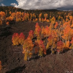 2016 - Another favorite photo opp the four of us enjoyed near Duck Creek Village - Aerial over aspen and lava flows impossible to walk to but we always wanted to see. Now possible with with my drone.