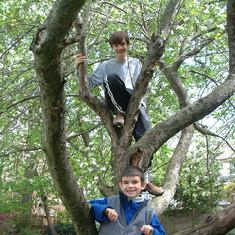 Travis and Matthew in Mom's Apple Tree at 60 Bayview