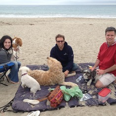 Doggy Beach Picnic in Oxnard