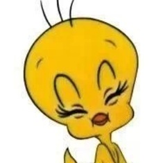 Jeffrey loved Tweety Bird! Animated fictional yellow canary in looney tunes...