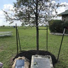 Tree planted at Wellspoint Park in loving memory of you.  This was named the "MAGIC TREE" Your soccer nickname "Magic"