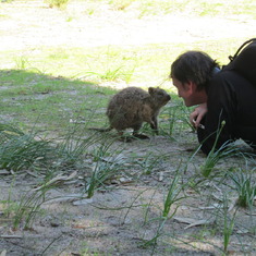 Jeremy befriends a quokka, Western Australia, Sept 2015