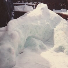 This is a snow dinosaur colored with green food coloring. He did this when he was about 12 yrs. old.