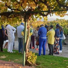 Wine tasting at the Concannon Vineyard - Livermore California during the Mbai Bassa California Cultural Event week-end 11/24/2019