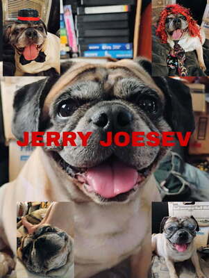 JERRY JOESEV BEALCHER