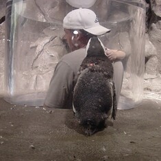 Jesse holding Jordan up in the penguin peep hole at the Ga Aquarium