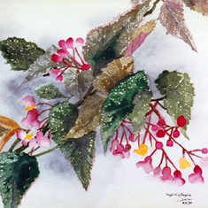 Angel Wing Begonias by Jessica Kawasuna Saiki