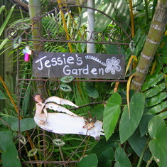 Jessie's Garden