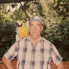 Parrot jungle