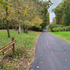 private road to adams log cabin home he bought for family
